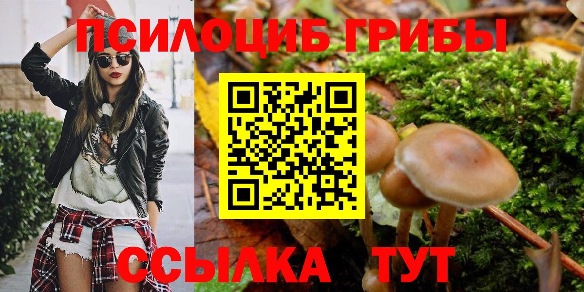 Галлюциногенные грибы Psilocybine cubensis Ликино-Дулёво